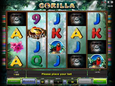 gorilla_1